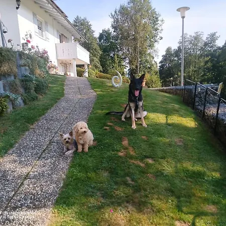Ploetz Appartamento